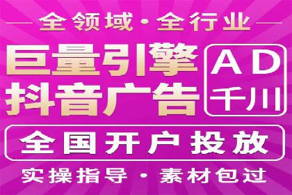 SEM精准广告投放的五大成功案例